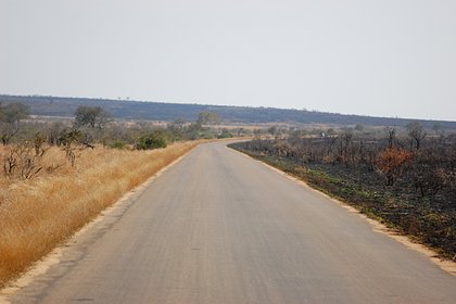 Министра транспорта африканской страны и ее телохранителей ограбили на шоссе