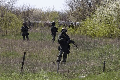 В Курской области опровергли сообщения о прорыве диверсионной группы