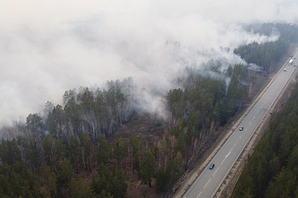 В Екатеринбурге зафиксировали смог из-за лесных пожаров