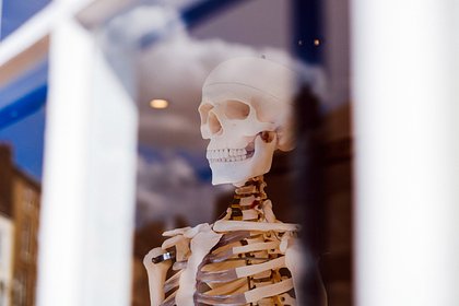 Торговец человеческими костями рассказал об особенностях работы
