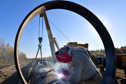 Польша предложила перекрыть поставки по нефтепроводу «Дружба»