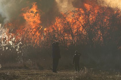 В Крыму эвакуируют четыре населенных пункта рядом с загоревшимся полигоном