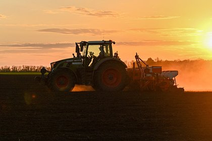 Стало известно о скором обсуждении предложений для России по зерновой сделке