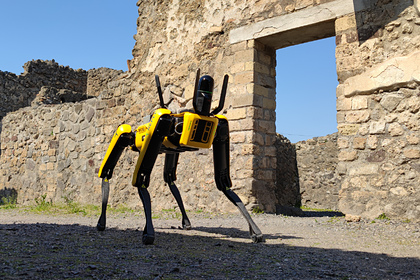 На Украине начнут искать мины с помощью робота-собаки