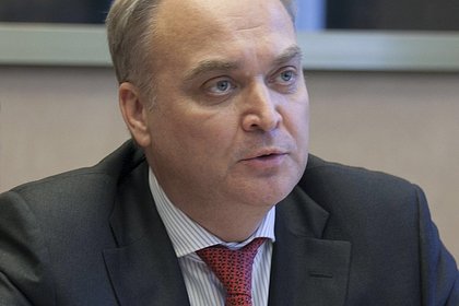 В России призвали бороться против ростков коричневой чумы на Украине