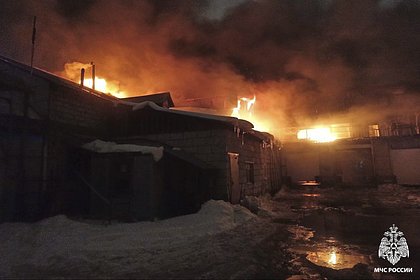 Крупный пожар на подмосковном мясном предприятии попал на видео