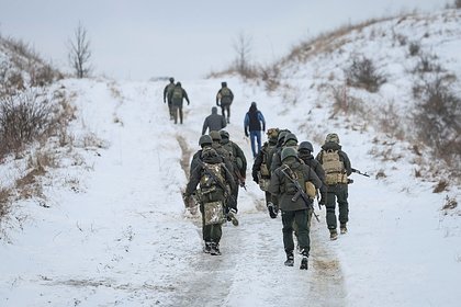 В Германии назвали число подозреваемых в наемничестве в зоне СВО немцев