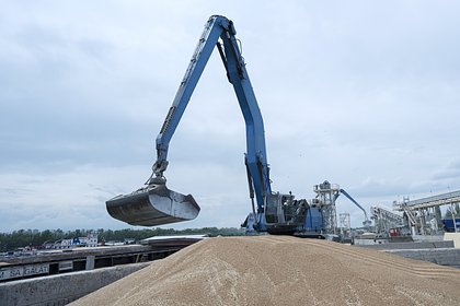 Возможность выполнения Западом условий России по зерновой сделке оценили