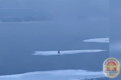 Полиция начала поиски застрявшего на льдине в Енисее мужчины