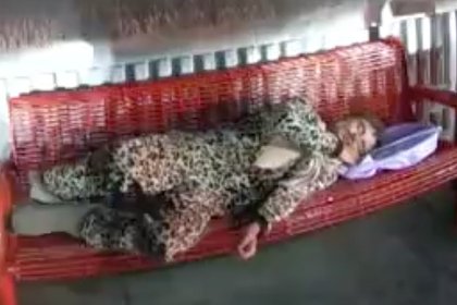 Мужчина в леопардовом комбинезоне украл хомяков и уснул на скамейке
