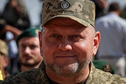 Гипотетической «партии Залужного» предрекли победу на Украине