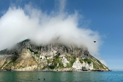 У российского побережья произошло сильное подводное землетрясение