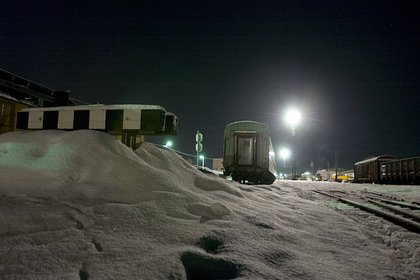 Был похож на бродячего, неухоженный: выбросившая кота Твикса из поезда на мороз проводница объяснила свой поступок