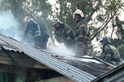 Пожар в ростовском зоопарке локализовали