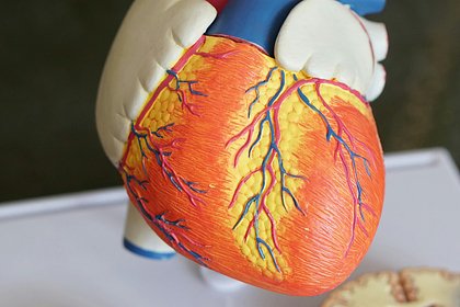 Генная терапия замедлила опасное для жизни заболевание сердца
