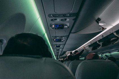 Трое пассажиров устроили пьяный дебош в самолете в Екатеринбург