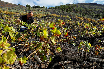 В Испании и Португалии спрогнозировали наступление рекордных засух