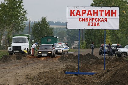 Под Воронежем нашли сибирскую язву