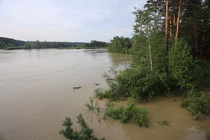 Вода в реке на юге России достигла опасных отметок