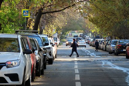 В России призвали смягчить наказание за отсутствие документов на автомобиль