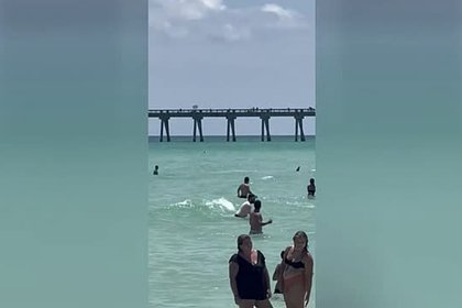 Крупная акула распугала купальщиков на пляже и попала на видео