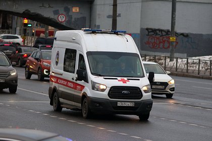 Московская школьница попыталась покончить с собой после слов отца о судьбе кота