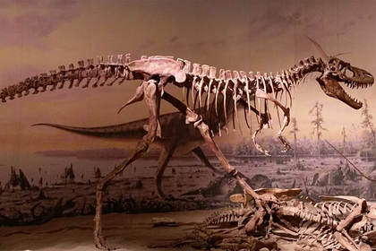 Решена загадка гигантских динозавров-хищников