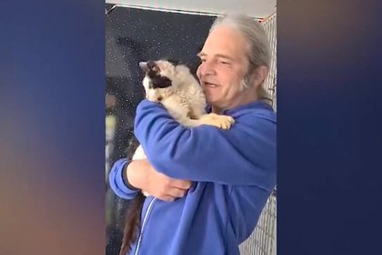 Пропавшая 25-летняя кошка воссоединилась с хозяевами через два года
