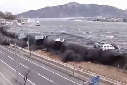 В Японии произошла серия землетрясений. Волны цунами оказались для России неопасны